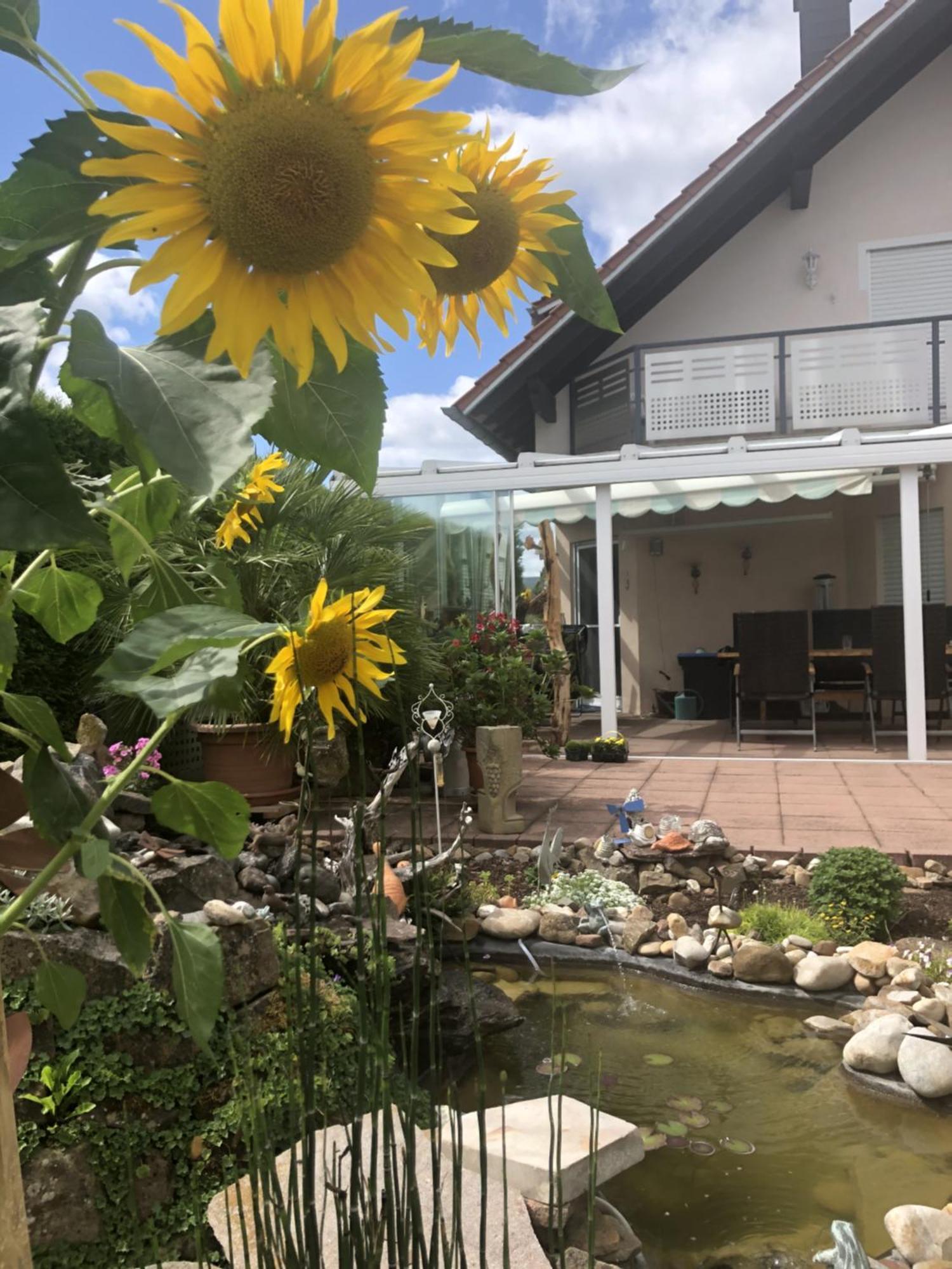 Ferienwohnung Am Schoosberg, Niederkirchen Bei Deidesheim Buitenkant foto